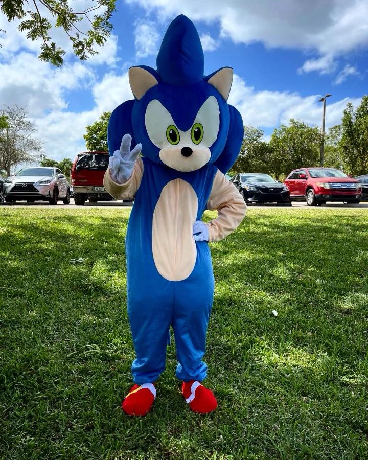 Sonic the Hedgehog